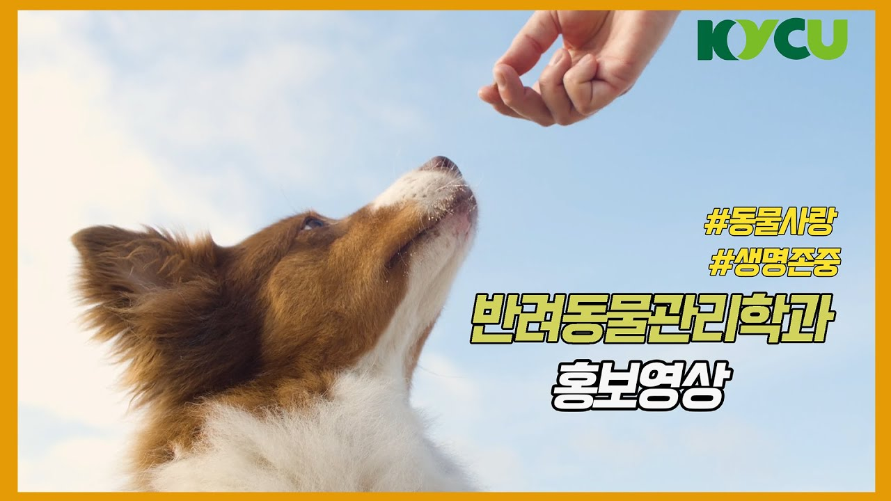 #동물사랑, #생명존중 반려동물관리학과 홍보영상
