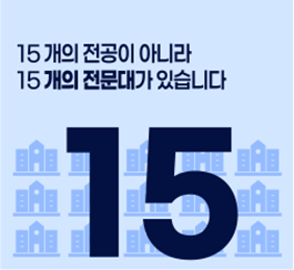 15 - 15개의 전공이 아니라 15개의 전문대가 있습니다